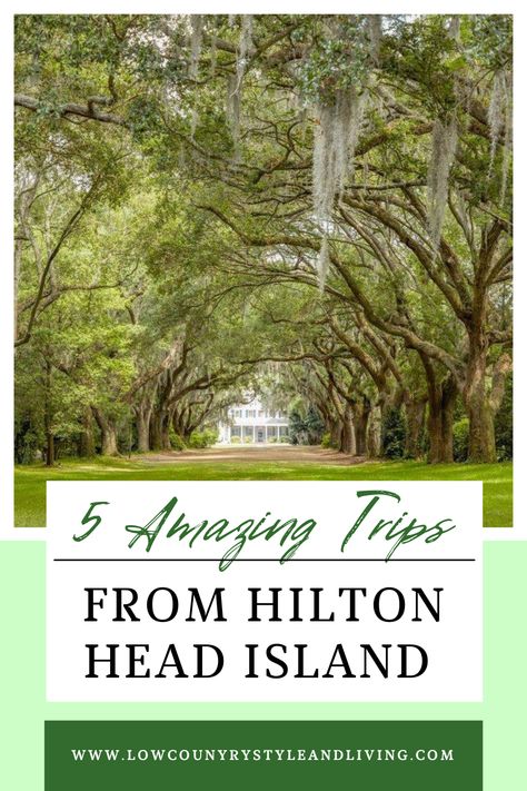 5 Amazing Trips From Hilton Head Island Hilton Head Bike Trails, Things To Do On Hilton Head Island, Day Trips From Hilton Head Island, Hilton Head Island Things To Do, South Carolina Lighthouses, Myrtle Beach Trip, Country Spring, Hilton Head South Carolina, Charleston Vacation