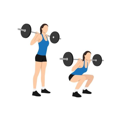 Woman doing Squat with barbell exercise. Flat vector illustration isolated on white background Barbell Squats Women, Squat Illustration, Squat With Barbell, Deadlift Women, Exercise Clipart, Workout Illustration, Dance Clipart, Dancing Clipart, Squat With Bar