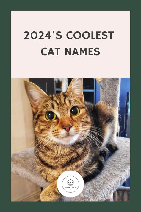 Explore our extensive collection of over 260 unique and powerful cat names. Whether you have a courageous male or a daring female feline, you'll find the ideal strong and bold name for your beloved companion. Female Cat Names Unique, Male Cat Names Unique, Badass Cat Names, Kitten Names Unique, Names For Male Cats, Boy Cat Names, Norse Names, Unique Cat Names, Cute Cat Names