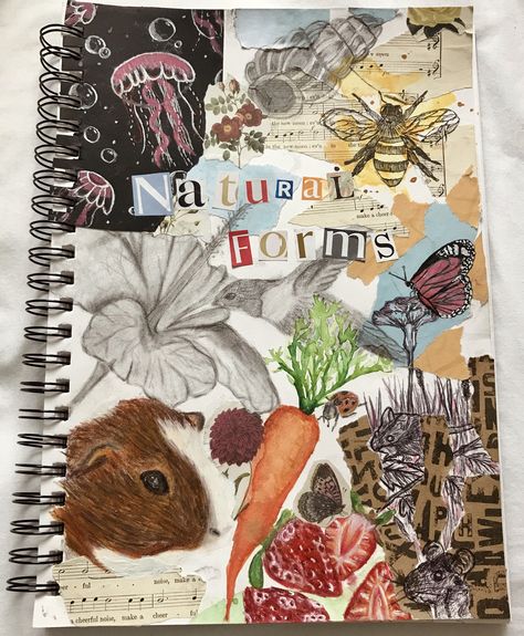 Artist Title Ideas, Sustain Investigation Art, Title Page Art A Level, Gcse Art Textiles Sketch Books, Gcse Art Formal Elements Page, Art Gcse Coursework, Textile Art Journal, Title Page Ideas Sketchbook, Our World Art Gcse Title Page