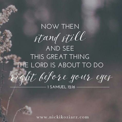 Now then stand still & see this great thing the Lord is about to do right before your eyes. 1 Samuel 12:16 Woord Van God, 1 Samuel, Scripture Quotes, Verse Quotes, Bible Inspiration, Scripture Verses, Bible Verses Quotes, Quotes About God, Bible Scriptures