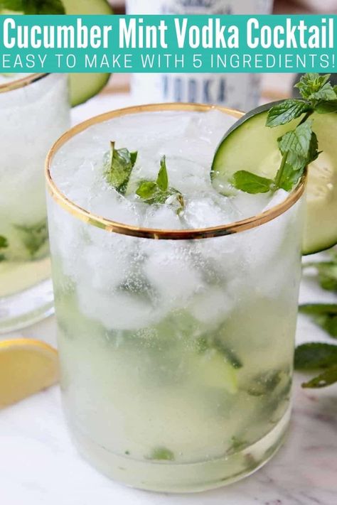 Cucumber Mint Vodka Cocktail, Cucumber Vodka Drinks, Happy Hour At Home, Cucumber Drink, Cucumber Cocktail, Vodka Cocktails Easy, Cucumber Vodka, Mint Drink, Mint Cocktails