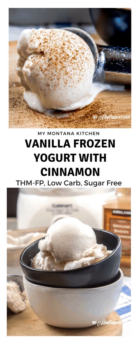 Sweet, tangy, and filled with comforting cinnamon, this easy Vanilla Frozen Yogurt recipe makes a super snack. Filled with protein, but light in calories, it is also a Trim Healthy Mama Fuel Pull Dessert! #trimhealthymama #thm #thmfp #lowcarb #lowfat #sugarfree #frozenyogurt #icecream #cinnamon #vanilla #vanillafrozenyogurt Frozen Greek Yogurt Recipe Healthy, Vanilla Greek Yogurt Recipes Healthy, Greek Yogurt Frozen Yogurt, Recipes With Vanilla Greek Yogurt, Keto Greek Yogurt Recipes, Frozen Greek Yogurt Recipe, Vanilla Frozen Yogurt Recipe, Protein Frozen Yogurt, Froyo Recipe