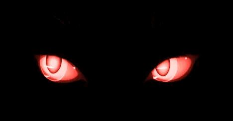 Red Cat Banner Discord, Dark Banners Gif, Red Aesthetic Header Gif, Witchy Discord Banner, Witch Banner Gif, Fire Banners Discord, Pirate Banner Discord, Banner Gif Halloween, Kakegurui Banner Gif