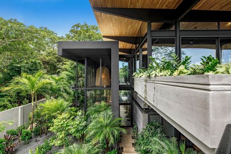 Gallery of Raintree House / Studio Saxe - 3 Tree House Resort, Houses In Costa Rica, Snowy House, Apartment Exterior, Nosara, Boho Style Bedroom, Contemporary Building, Tropical Architecture, House Studio