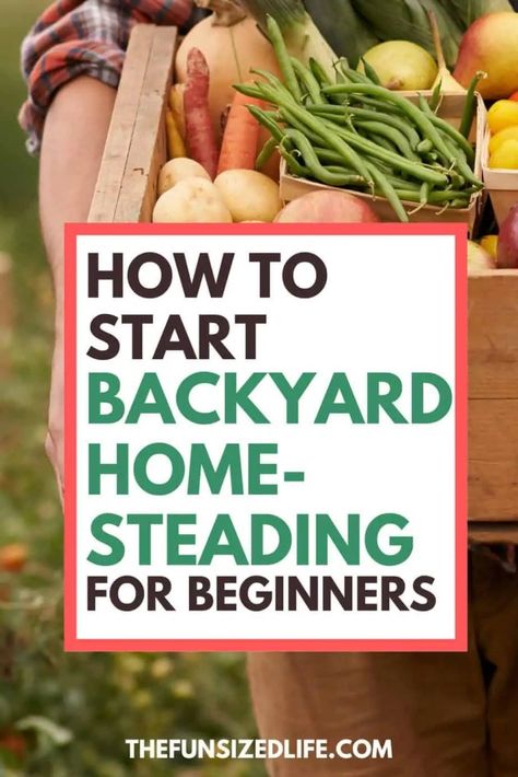 Homesteading doesn't have to be all or nothing. Here is our family's simple method for backyard homesteading in the suburbs! Homesteading In The Suburbs, Homesteading For Beginners, Backyard Homesteading, Suburban Homestead, Backyard Homestead, Hobby Farm, Sharing Economy, Urban Homesteading, Life Group