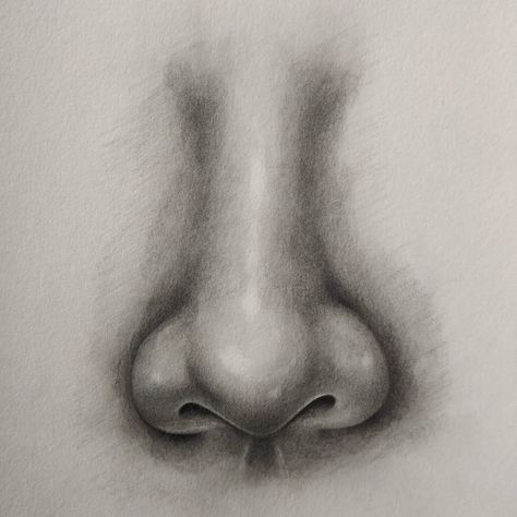 Nose Front View, How To Draw Nose, Draw Nose, Nose Drawing, Easy Drawing, Front View, Drawing Techniques, A Face, To Draw