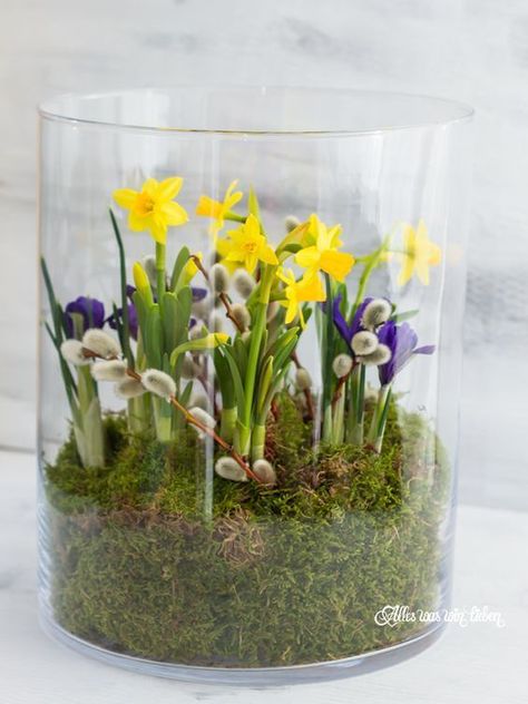 How to transform glass vases and jars into a beautiful decoration in only a few minutes: 25 rustic spring ideas that cost almost nothing | My desired home Diy Frühling, Spring Decoration, Deco Nature, Easter Flowers, Spring Bulbs, Spring Easter Decor, Diy Vase, Deco Floral, Spring Diy