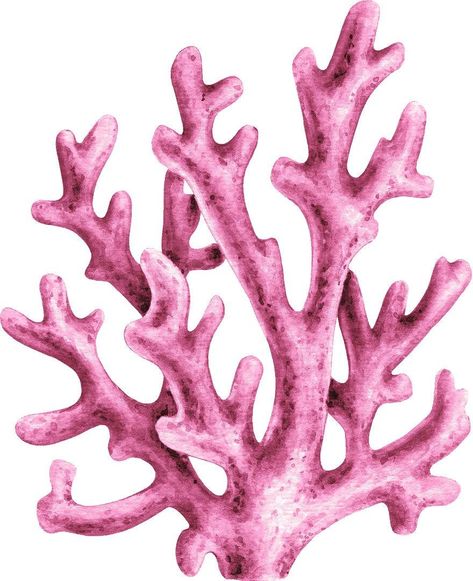 "Get this adorable Watercolor Pink Coral Wall Decal for your baby girl/boy's nursery, children's playroom, ocean/sea themed rooms & more. This watercolor pink coral reef sticker would be the perfect addition to your under the sea themed bedroom, playroom or nursery. Our peel and stick wall stickers are easy to apply and are easily removable & repositionable. Sign up for our VIP Club Newsletter and we'll send you a coupon good for 15% OFF YOUR PURCHASE. Copy and paste this link into your Sea Themed Bedroom, Watercolor Coral Reef, Deep Sea Ocean, Coral Painting, Sea Creatures Art, Ocean Room, Coral Walls, Themed Rooms, Coral Watercolor