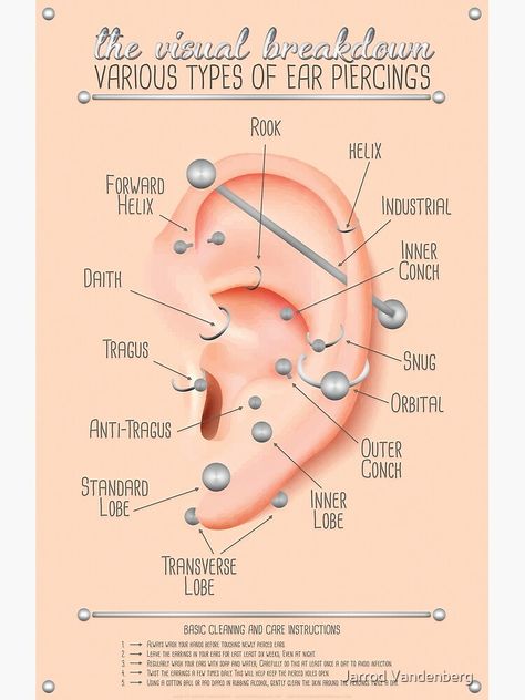 Ear Piercing Chart, Daily Knowledge, Piercing Anti Tragus, Piercing Guide, Piercing Face, Vintage Tattoos, Ear Peircings, Ear Piercings Chart, Piercing Chart