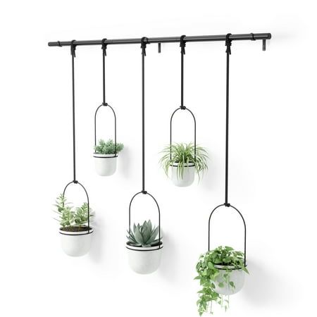 Fake hanging plants