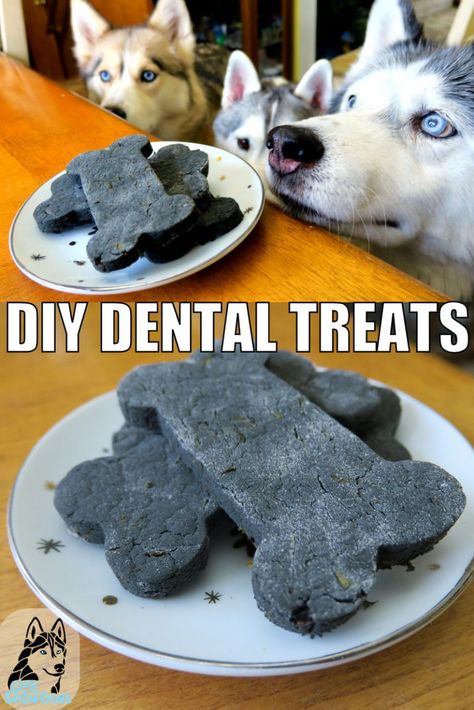 DIY DENTAL TREATS FOR DOGS - Gone to the Snow Dogs | Siberian Husky Love Dental Treats For Dogs, Homemade Dog Cookies, Dog Dental Treats, Dog Dental Chews, Diy Dog Food, Healthy Dog Treats Homemade, Dental Treats, Treats For Dogs, Diy Dog Treats