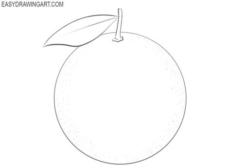 How to Draw an Orange Easy | Easy Drawing Art Orange Simple Drawing, Simple Orange Drawing, Orange Pencil Drawing, Orange Drawing Simple, Drawing In Circle, Orange Drawing, Fruit Coloring, Fruit Sketch, Hair Stenciling