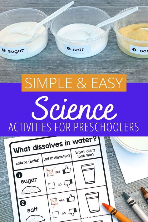 Sink Or Float Activities, Simple Science Activities, Experiments For Preschoolers, Fun Science Activities, Easy Experiments, Physical Science Activities, Pre-k Science, Summer Preschool Activities, Water Experiments