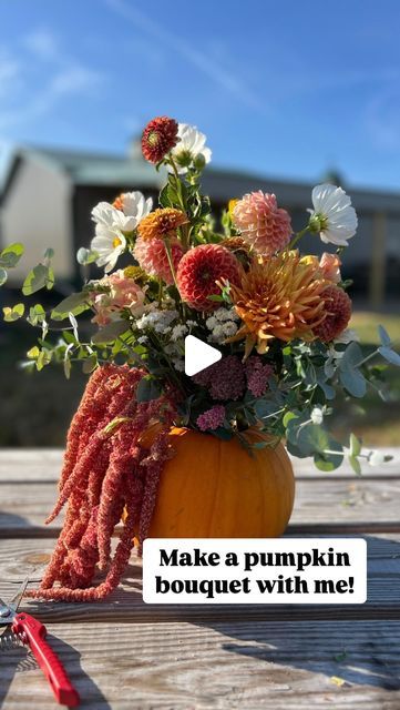 Lexi | Bokenkotter Blooms on Instagram: "It’s a high of 95 today but I don’t care 👏🏼. Let’s make the seasons first spooky pumpkin bouquet🎃" Pumpkin Bouquet, Spooky Pumpkin, The Seasons, A Pumpkin, On Instagram, Instagram