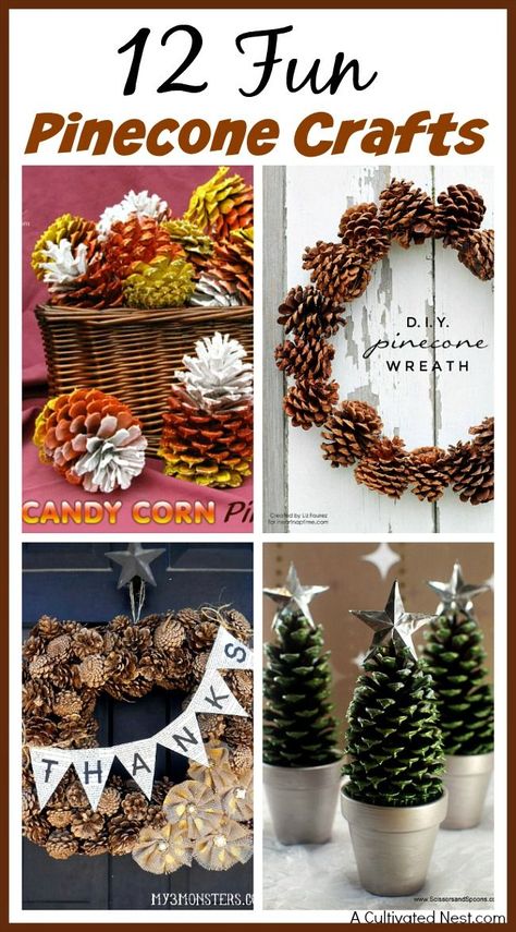 Great DIY Home Decor Ideas for Fall or Christmas! Easy to do and inexpensive. 12 Fun Pinecone Crafts For Your Home! easy crafts, nature crafts, fall decorating ideas, Christmas decorating ideas #DIYHomeDecorFall Pine Cone Christmas Decorations, Crafts Nature, Pinecone Crafts Christmas, Pinecone Crafts, Crafts Fall, Diy Scent, Christmas Easy, Pine Cone Art, Christmas Pine Cones