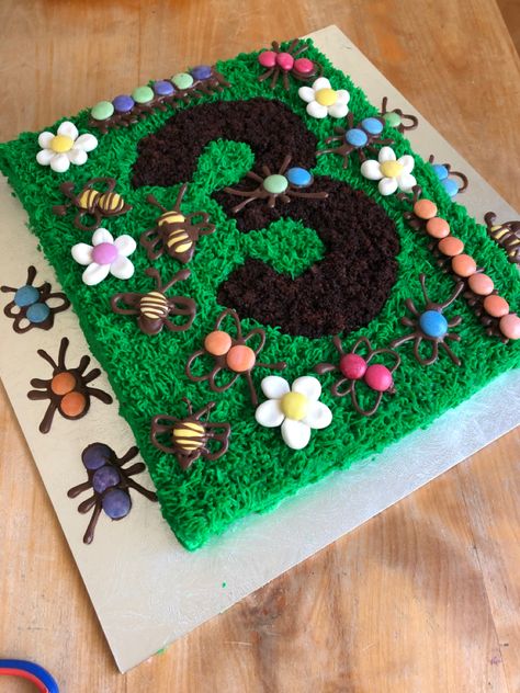 Bug Cupcake Cake, Bug Cake Ideas, Bug Birthday Cakes, Grass Cake, Centipede Grass, Bug Cake, Bug Party, Birthday 2023, Bug Beetle