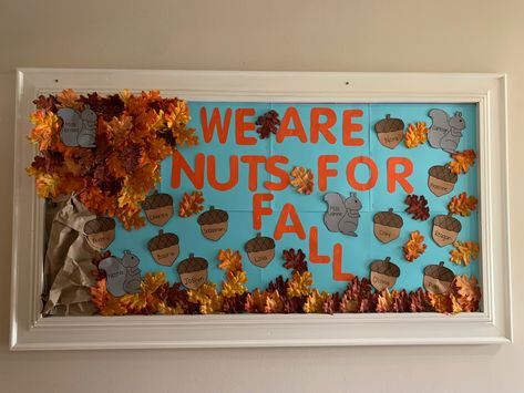 We Are Nuts About Fall Bulletin Board, We're Nuts About Fall Bulletin Board, Nuts About Fall Bulletin Board, Fall Classroom Door, October Bulletin Boards, Thanksgiving Bulletin Boards, Fall Bulletin Board, Soft Board, Fall Board