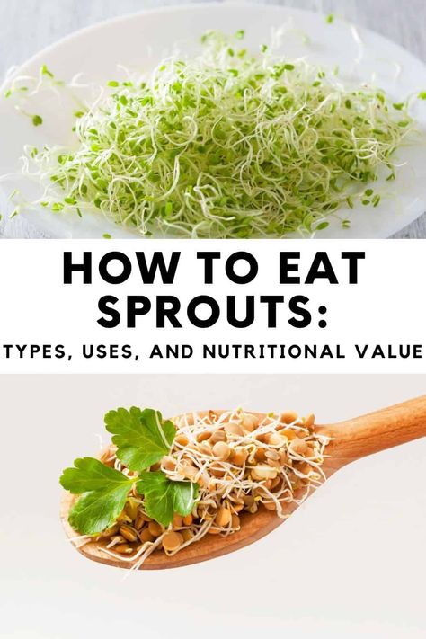 Salad Sprouts Recipe, How To Eat Broccoli Sprouts, Sprouts Nutritional Value, Recipes For Sprouts, Sprouts Recipes Alfalfa, Broccoli Sprouts Recipes Dishes, Brocolli Sprouts Recipes, Recipes Using Sprouts, How To Use Sprouts