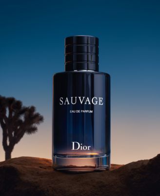 Dior Sauvage, Dior Men, Perfume Photography, Dior Perfume, After Shave Balm, Deodorant Spray, Best Perfume, Fragrance Collection, Perfume Collection