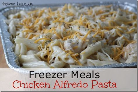 Freezer Meals Chicken, Meals That Freeze Well, Freeze Meals, Freeze Ahead Meals, Meals Chicken, Chicken Freezer Meals, Freezer Dinners, Pasta Recipes Alfredo, Freezer Friendly Meals