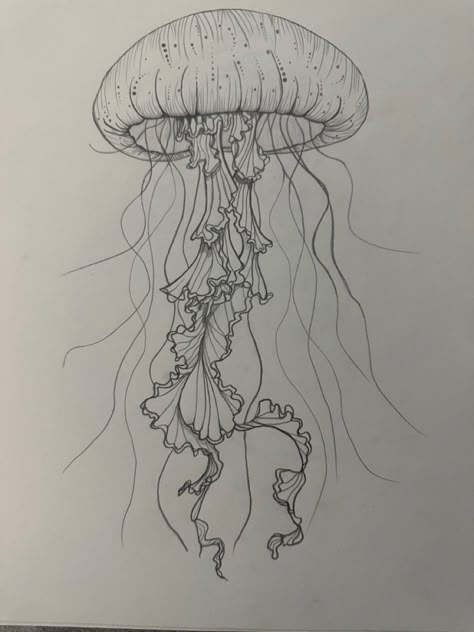 How To Draw Realistic Jellyfish, Detailed Things To Draw, Jellyfish Marker Drawing, Drawings Sea Creatures Art, Jellyfish Drawing Tutorial, Sea Floor Drawing, Jelly Fish Drawing Sketches, Hard Things To Draw, Drawing Ideas Hard