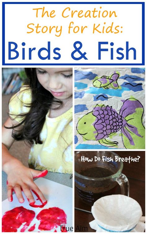 The Creation Story Birds & Fish - Crafts, Activity, and Experiment God Made Fish And Birds Craft, Bible Science, Creation Activities, Science For Toddlers, Homeschool Lesson Plans, Homeschool Board, Montessori Homeschool, Church Nursery, St Marys