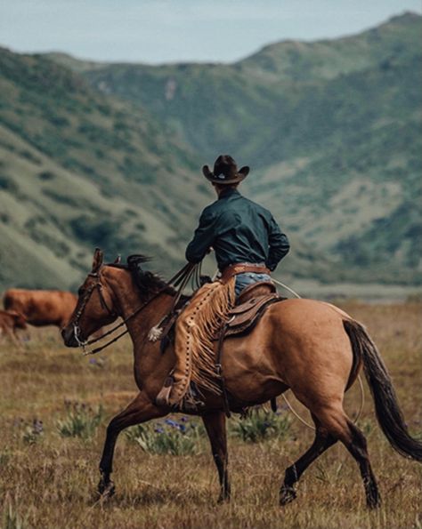 Horse Portrait Photography, Arte Cowboy, Cowboy Photography, Cowboy Pictures, Cowboy Aesthetic, Western Photography, Into The West, Western Paintings, Photography Shoot