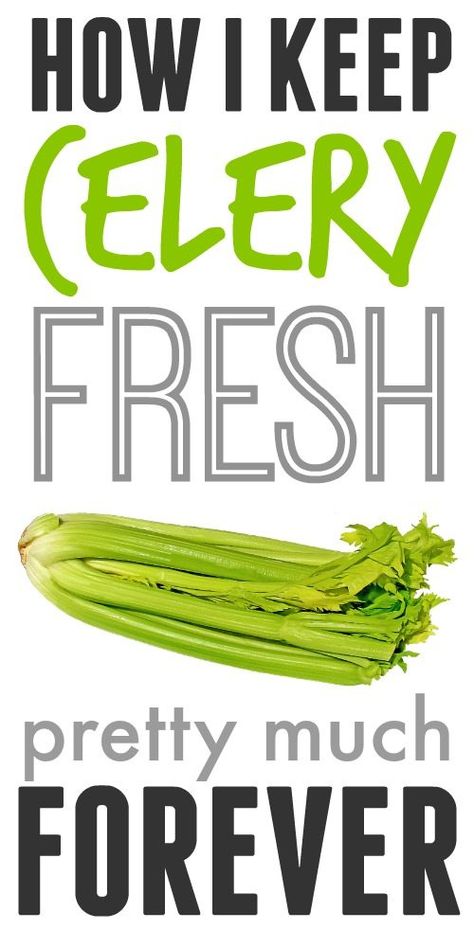 How To Store Celery, Storing Vegetables, Fruit And Vegetable Storage, Vegetable Storage, Food Saver, Food Info, Food Facts, Healthy Nutrition, Nutrition Tips