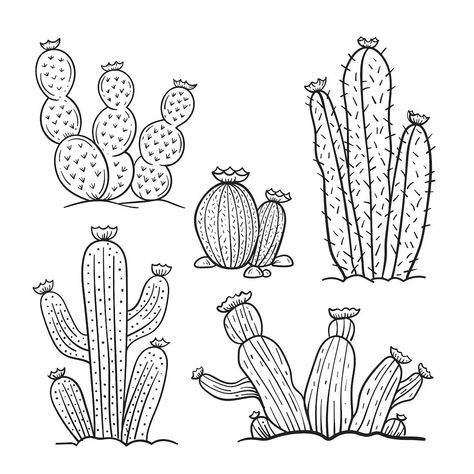 Free Vector | Free vector hand drawn cactus outline illustration Desert Doodles, Cactus Outline, Cactus Tree, Succulent Collection, Tree Vector, Cactus Pattern, Outline Illustration, Drawings Simple, Stationery Templates