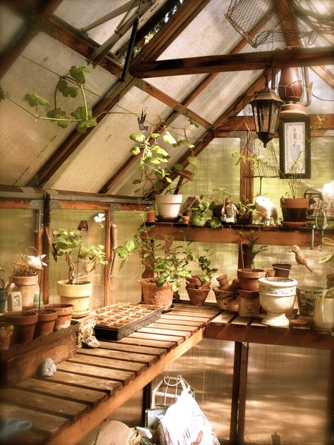 Zen Altar, Greenhouse Shelves, Mystic Garden, Greenhouse Supplies, Greenhouse Shed, Greenhouse Interiors, Greenhouse Ideas, Home Greenhouse, Backyard Greenhouse