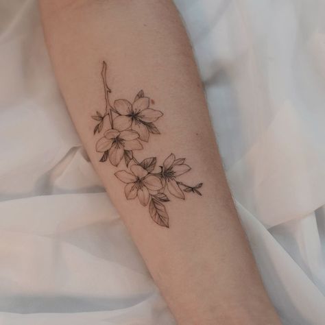 Apple Blossom Tattoo, Apple Blossom Tattoos, Dogwood Tattoo, Dogwood Flower Tattoos, Grace Tattoos, Apple Tattoo, Cherry Tattoos, Flower Wrist Tattoos, White Apple