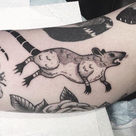 Joshua Burd on Instagram: “Hooded rat gap filler for Tessa! #portlandtattoo #portlandart #pdxart #pdxtattoo #pdxart #tattoo #tattooart #lineworktattoos…” Curved Tattoo, Hooded Rat, Gap Filler Tattoo, Portland Tattoo, Rat Tattoo, Tattoo Filler, Traditional Tattoo Flash, Flash Tattoo, Traditional Tattoo