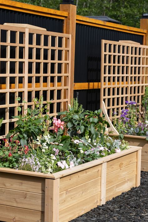 Adding vertical elements such as trellises to your raised bed garden can be a great way to maximize your growing space and add visual interest to your landscape. Follow these tips to design a raised bed garden with room to grow up! Simple Raised Garden Beds, Raised Bed Frame, Vegetable Beds Raised, Backyard Layout, Raised Bed Garden, Raised Flower Beds, Hardscape Design, Small Fountains, Tall Plants