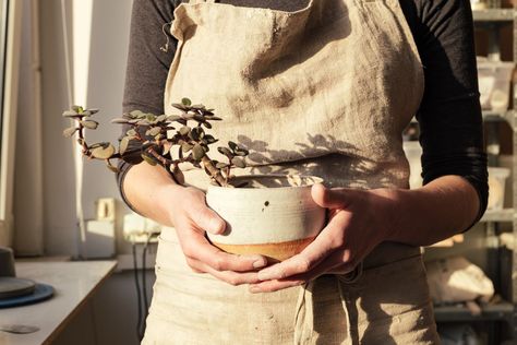 Download this free HD photo of potter holding a vase with a plant for personal and commercial use.  art, artist, beautiful, ceramic, ceramics, clay, craft, craftsman, creation, creative, creativity, culture, Decor, decoration, decorative, design, earthenware, Eco, floral, flower, green, grey, hand, handcraft, handicraft, handmade, hands, hipster, home, interior, leaf, lifestyle, making, modern, Moss, mud, natural, nature, plant, planter, pot, potter, Pottery, Scandinavian, skill, space, studio, Person Holding Potted Plant Reference, Person Holding Plant Reference, Vampire Flower, Mexico Photos, Hipster Home, Anime Flower, Summer Poses, How To Make Drawing, Study Photos