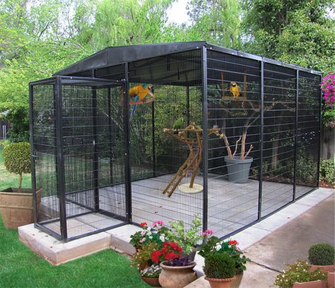 AMAZING macaw aviary!!! Bird Aviary For Sale, Outdoor Aviary, Reban Ayam, Pet Bird Cage, Large Bird Cages, Outdoor Cat Enclosure, Bird House Kits, Bird Aviary, Parrot Cage