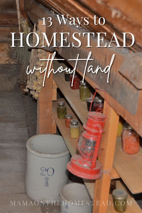 You don't have to be a landowner to live a homestead lifestyle. Here are 13 ways you can homestead without land. #homesteading #homesteadlife #homesteadcommunity #homesteadlifestyle #homesteadingwithoutland #homesteadmama Homestead Homes, Apartment Homesteading, Make Money On Homestead, Best Place To Homestead, How To Make Money Homesteading, Ways To Make Money On A Homestead, Buying Land For Homestead, Apartment Backyard, Homestead Land