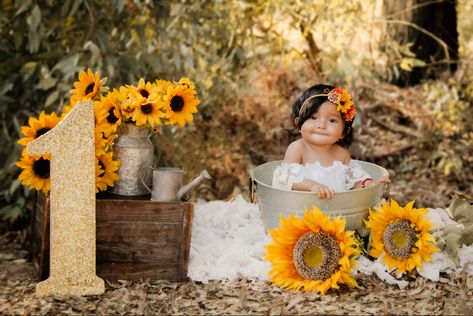 Sunflower Smash Cake, Half Pictures, Birth Photoshoot, Summer Baby Photos, Sunflower Shoot, 1rst Birthday, Sunflower Birthday Parties, Baby Birthday Photoshoot