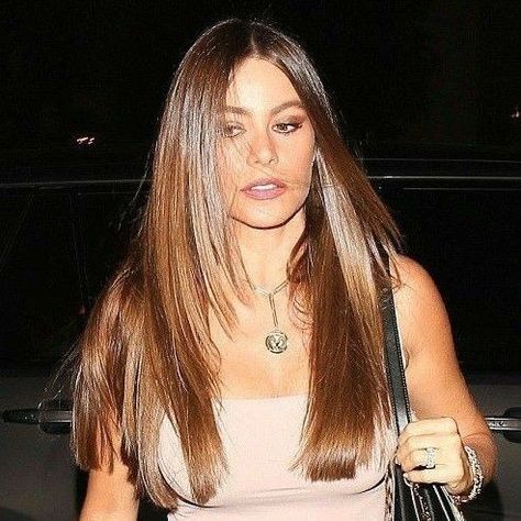 Sofia Vergara Hair Straight, Sofia Vergara Haircut, Sofia Vergara Hair Color, Sofia Vergara Hair, Women Actresses, Alpha Females, Diamond Face Hairstyle, Jennifer Aniston Hair, Brown Hair Balayage