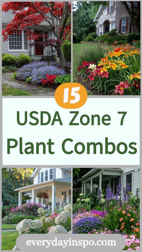 Get 15 perfect plant picks if you live in USDA hardiness zone 7. Zone 7 Front Yard Landscaping, Plants For Zone 7 Landscapes, New Zealand Flax, Plant Combos, Creeping Phlox, Panicle Hydrangea, Cast Iron Plant, Zone 7, Fountain Grass