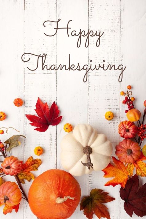 My Photos Image, Happy Thanksgiving Business Post, Beautiful Thanksgiving Images, Happy Thanksgiving 2024, Fall Images Wallpaper, Thanksgiving Greetings Quotes, Thanksgiving Turkey Wallpaper, Happy Thanksgiving Images Cute, Cute Happy Thanksgiving Quotes