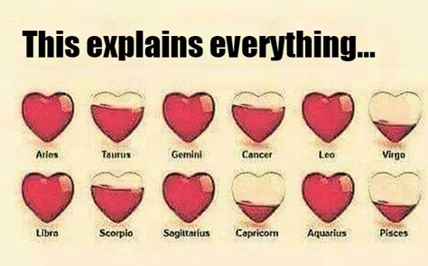 Zodiac Sign Fashion, Zodiac Signs Chart, Zodiac Signs Sagittarius, Zodiac Signs Leo, Zodiac Sign Traits, Zodiac Signs Gemini, Sagittarius And Capricorn, Zodiac Signs Horoscope, Zodiac Signs Funny