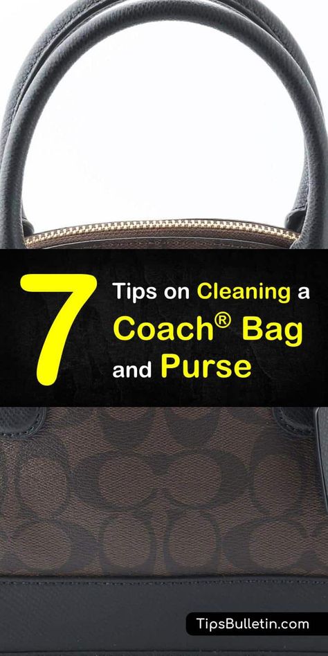 Cleaning Purses, Clean Coach Purse, Arm And Hammer Super Washing Soda, Cleaning Routines, Purse Cleaning, Cleaning Diy, Cleaner Recipes, Cleaning Guide, Bathroom Cleaning Hacks