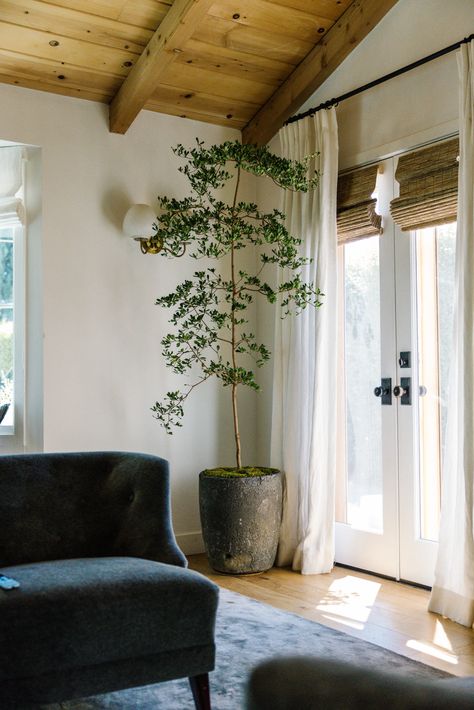 Sarah Solis, Tree In Living Room, Built In Banquette, Rustic Modern Farmhouse, Indoor Trees, Modern Rustic Homes, Zellige Tile, Dark Walls, Dining Room Walls