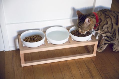 how to make a diy cat bowl stand Dog Bowl Stand Diy, Cat Food Stand, Pet Bowls Stand, Cat Food Station, Pet Bowl Stand, Diy Cat Food, Cat Bowl Stand, Cat Feeding Station, Chat Diy