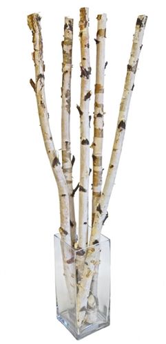 Birch Sticks, 36" Tall Tree Branches Decor, Birch Decorations, Birch Tree Branches, Birch Centerpieces, Birch Decor, Staging House, Branches Decor, Bark Crafts, Birch Tree Decor