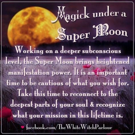 327 Likes, 4 Comments - ⭐️ Jenna Caprice 🔮 (@whitewitchparlour) on Instagram: “The Super Full Moon in Virgo is growing & it’s energy is here to teach us the importance of balance…” Moon Magick, Moon Spells, Love Psychic, Online Psychic, Wealth And Abundance, Manifesting Wealth, White Witch, Super Moon, Practical Magic