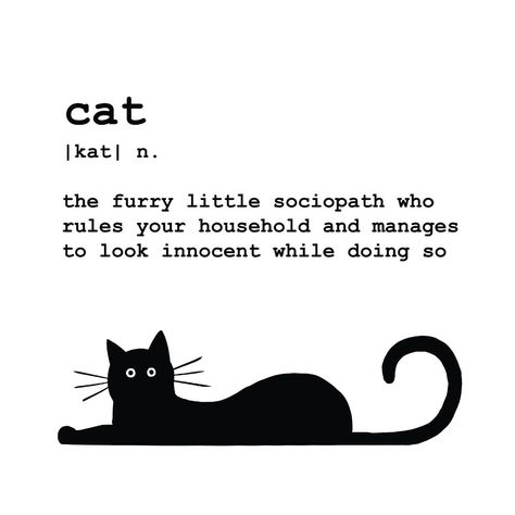 Cat Definition, Definition Design, Cat Comics, Decorative Wood, Cat Facts, Cat Quotes, Cat Posters, Funny Cute Cats, Cats Meow