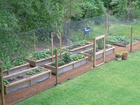 Garden Planning Layout, Fenced Vegetable Garden, Backyard Garden Layout, Garden Layout Vegetable, Never A Dull Moment, Garden Weeds, Backyard Vegetable Gardens, Garden Area, Veg Garden