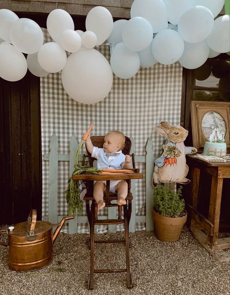 1800s Birthday Party, Vintage Baby Birthday Party, Rabbit First Birthday Party, Peter Rabbit First Birthday, Checkered Aesthetic, Vintage First Birthday, Peter Rabbit Birthday Party, Rabbit Birthday Party, Vintage Birthday Party